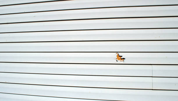 Best Weatherproofing and Sealing  in Fall River, WI