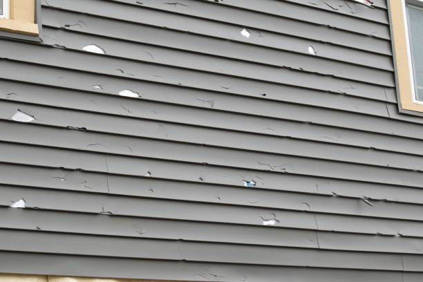 Best Storm Damage Siding Repair  in Fall River, WI