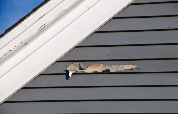 Best Aluminum Siding Installation  in Fall River, WI